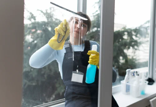 Nettoyage de vitres intérieures et extérieures à la Lande-Patry
